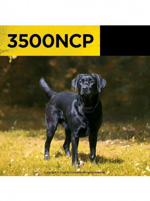 Pack de dressage  3500 NCP Dogtra