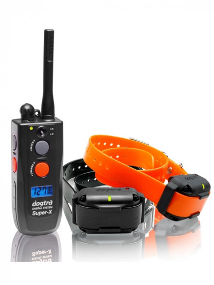 Pack de dressage 3502 NCP Dogtra