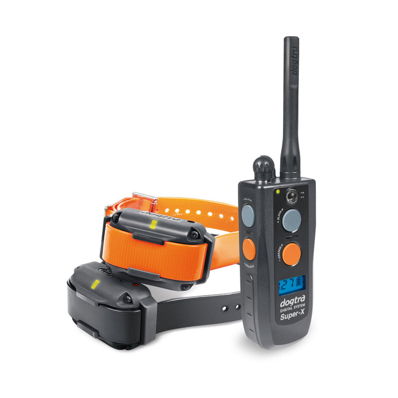 Pack de dressage 3502 NCP Dogtra