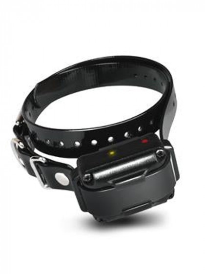 Collier récepteur seul IQ Plus Dogtra