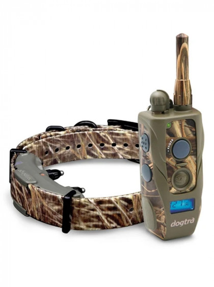 Collier de dressage Arc 800 Camo Dogtra