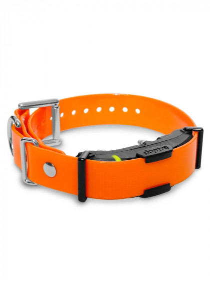 Collier dressage supp. Arc 800 Dogtra
