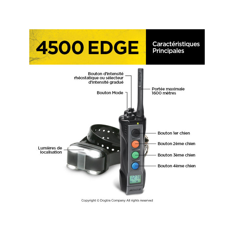 Pack de dressage 4500 Edge 1 chien Dogtra