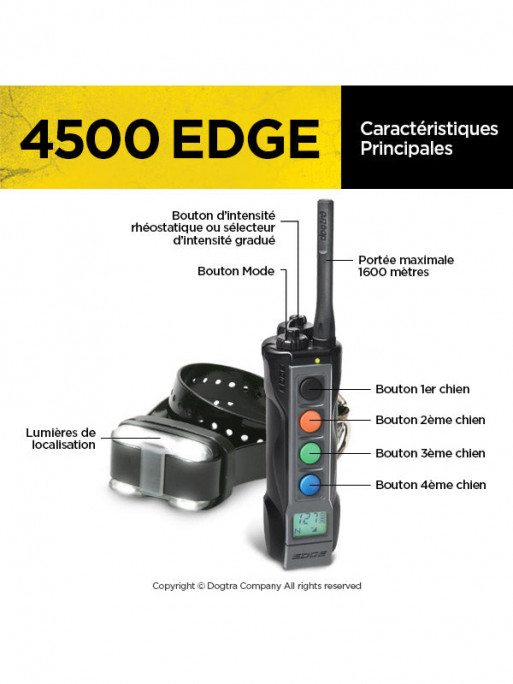 Pack de dressage 4500 Edge 1 chien Dogtra