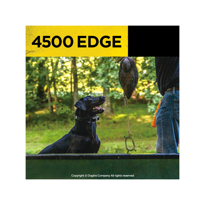 Pack de dressage 4500 Edge 1 chien Dogtra