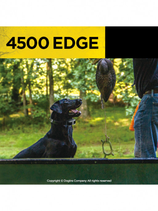 Pack de dressage 4500 Edge 1 chien Dogtra