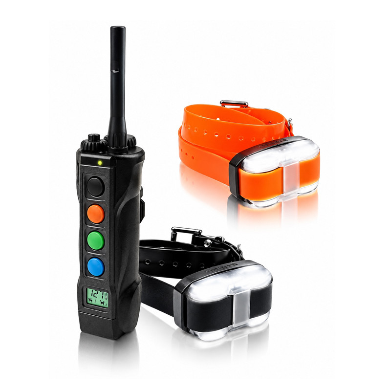 Pack de dressage 4502 Edge 2 chien Dogtra