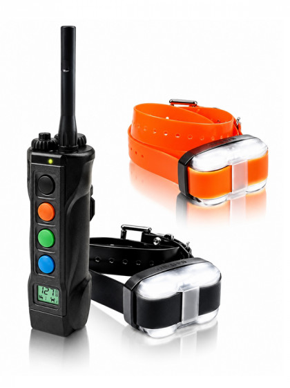 Pack de dressage 4502 Edge 2 chien Dogtra