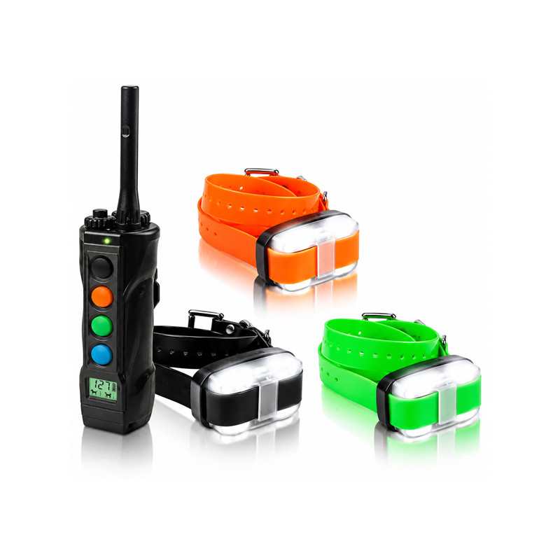Pack de dressage 4503 Edge 3 chiens Dogtra