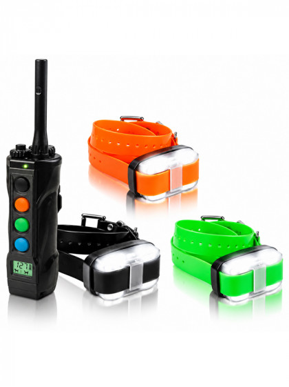 Pack de dressage 4503 Edge 3 chiens Dogtra