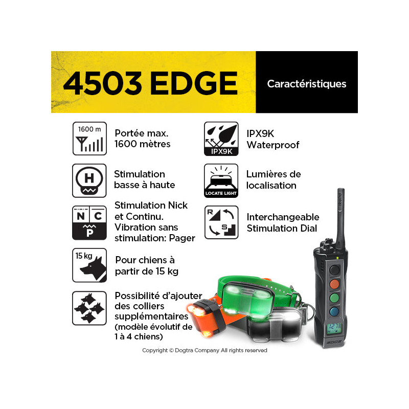 Pack de dressage 4503 Edge 3 chiens Dogtra