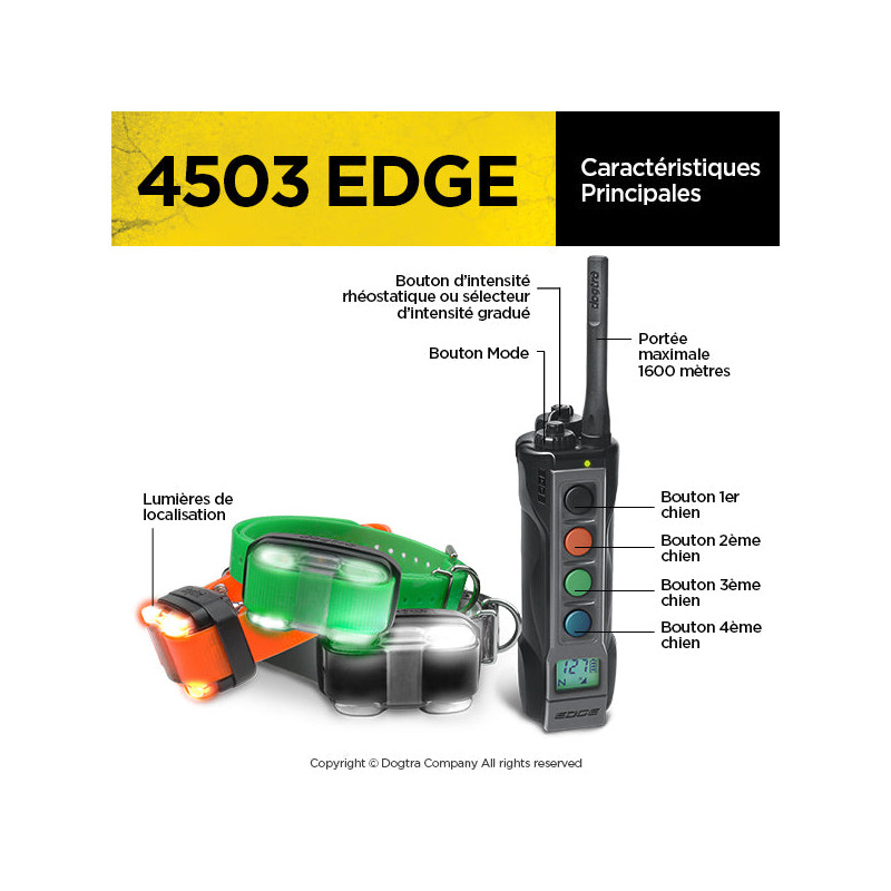 Pack de dressage 4503 Edge 3 chiens Dogtra