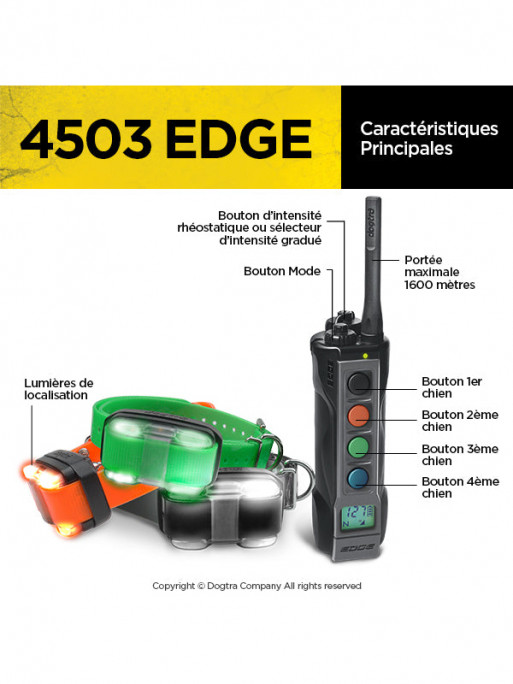 Pack de dressage 4503 Edge 3 chiens Dogtra