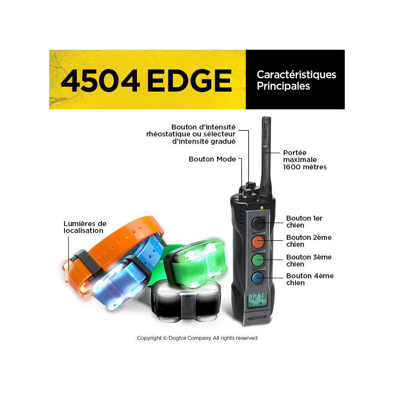 Pack de dressage 4504 Edge 4 chiens Dogtra