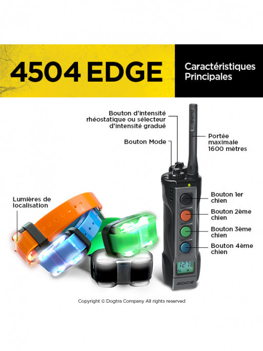 Pack de dressage 4504 Edge 4 chiens Dogtra