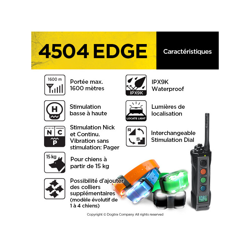 Pack de dressage 4504 Edge 4 chiens Dogtra