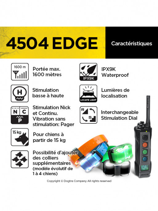 Pack de dressage 4504 Edge 4 chiens Dogtra