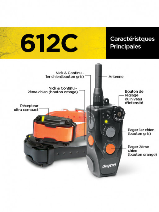 Collier de dressage 612C 2 chiens Dogtra