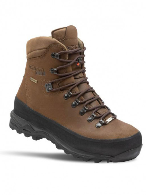Chaussures Nevada Safety Gtx Crispi