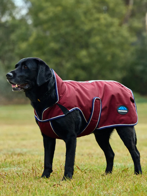 Couverture pour chien Premier Deluxe ComFitec Weatherbeeta
