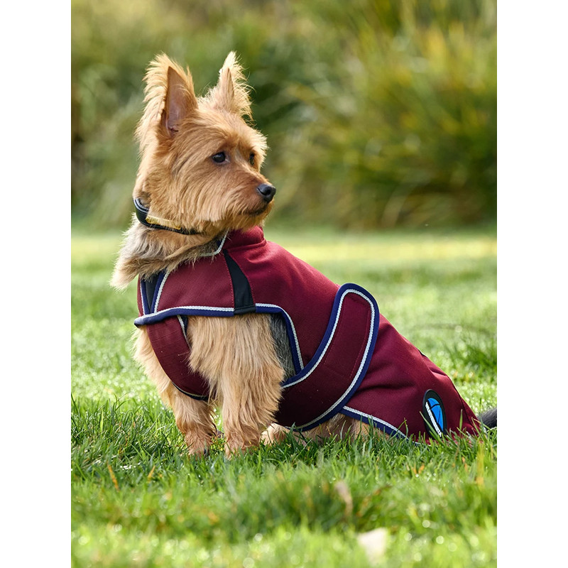 Couverture pour chien Premier Deluxe ComFitec Weatherbeeta