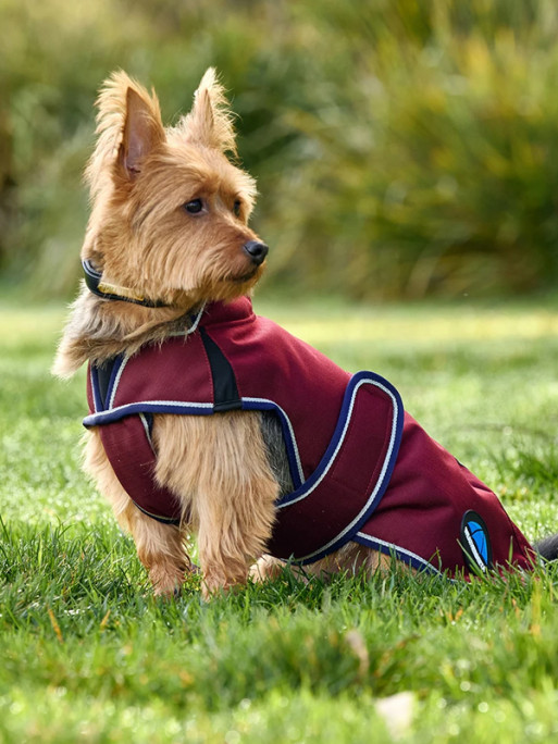 Couverture pour chien Premier Deluxe ComFitec Weatherbeeta