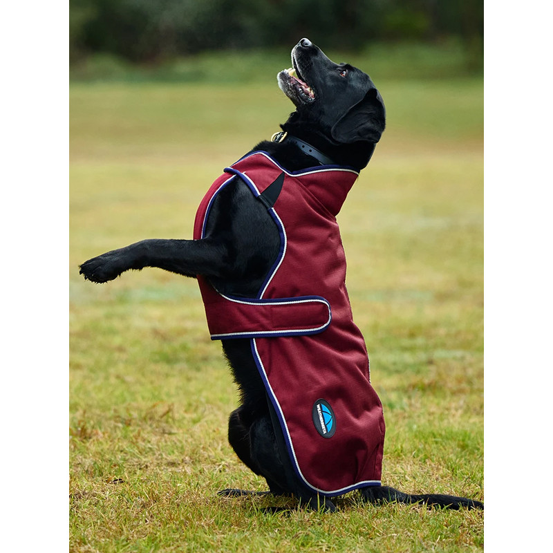 Couverture pour chien Premier Deluxe ComFitec Weatherbeeta