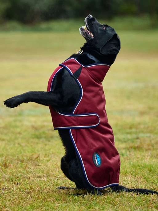 Couverture pour chien Premier Deluxe ComFitec Weatherbeeta