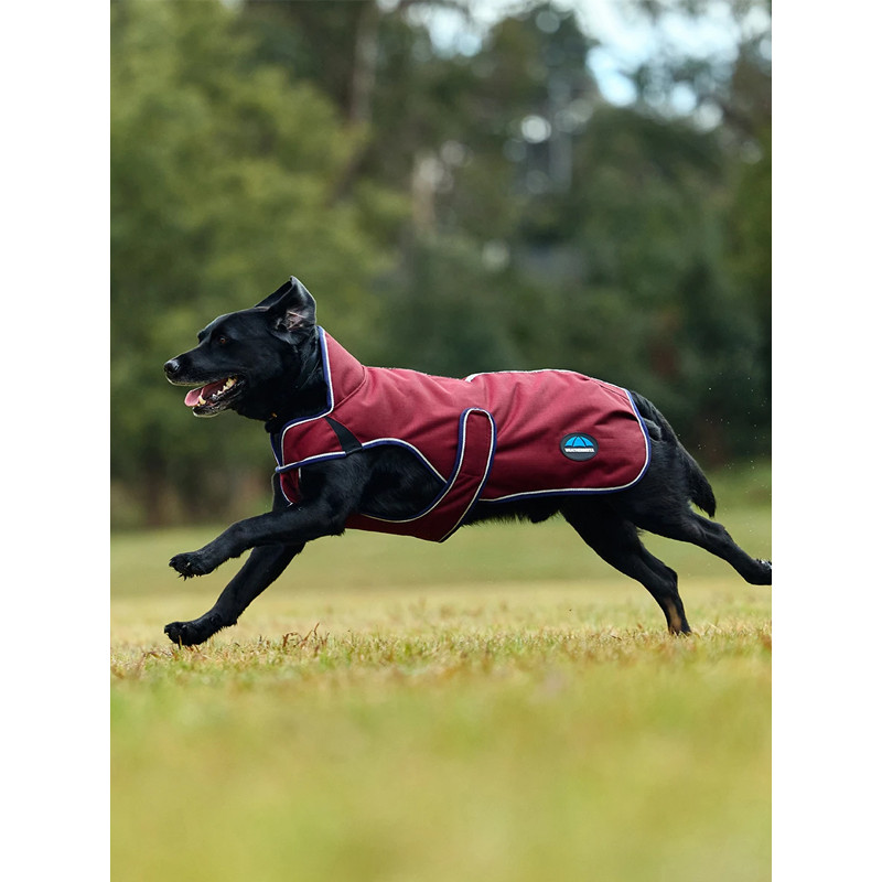 Couverture pour chien Premier Deluxe ComFitec Weatherbeeta