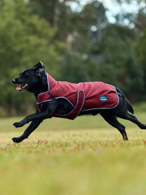 Couverture pour chien Premier Deluxe ComFitec Weatherbeeta
