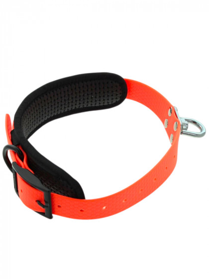 Collier PVC rembourré chien de sang Made In France CaniHunt