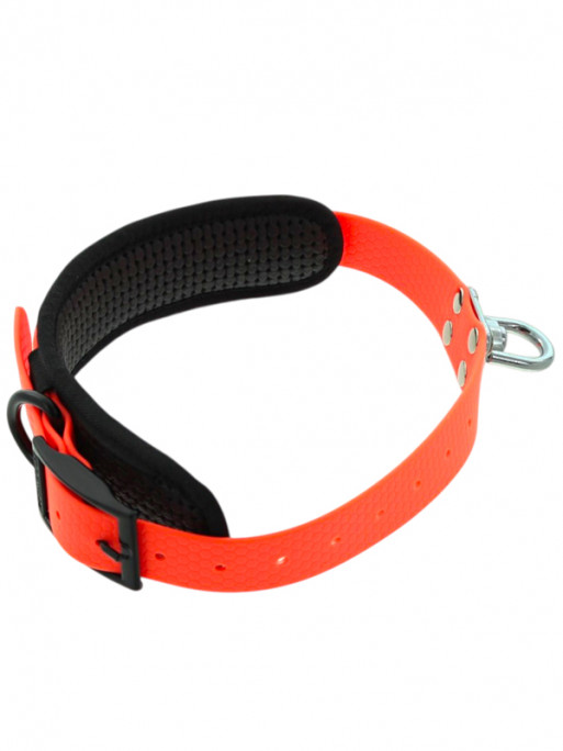 Collier PVC rembourré chien de sang Made In France CaniHunt