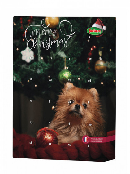 Calendrier de l'avent chien 70g XMAS Bubimex