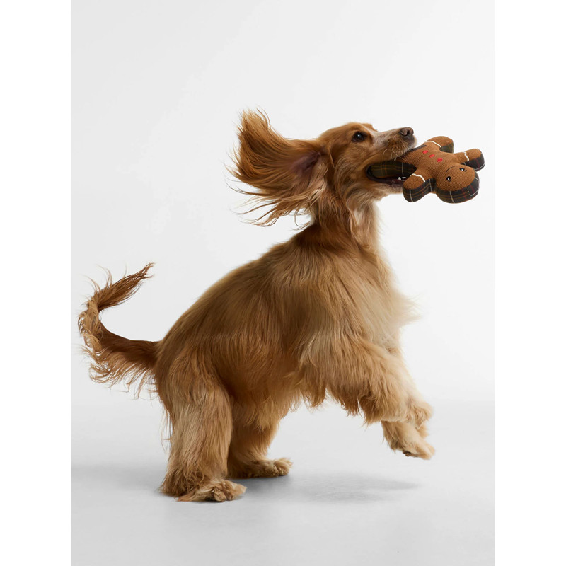 Jouet chien Gingerbread FW26 Barbour