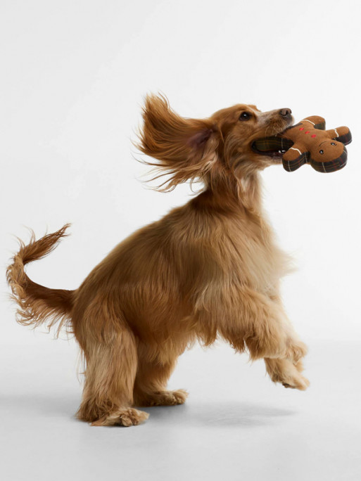 Jouet chien Gingerbread FW26 Barbour