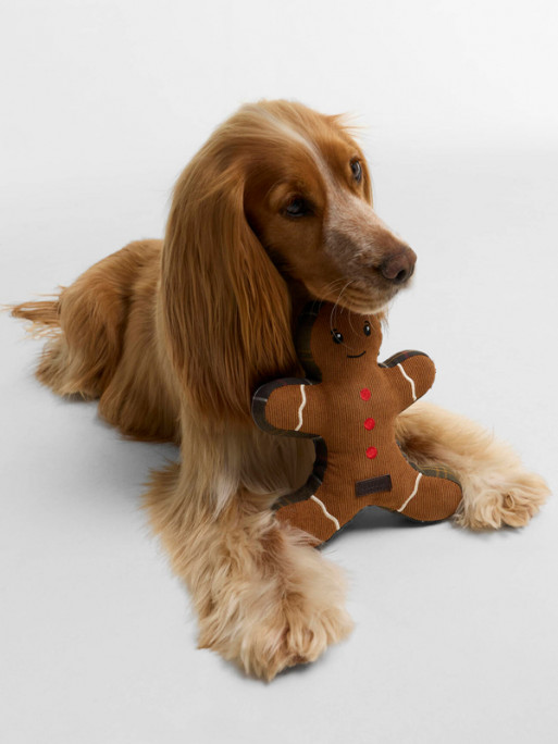 Jouet chien Gingerbread FW26 Barbour