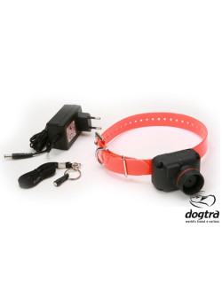Dogtra StB - Beep H