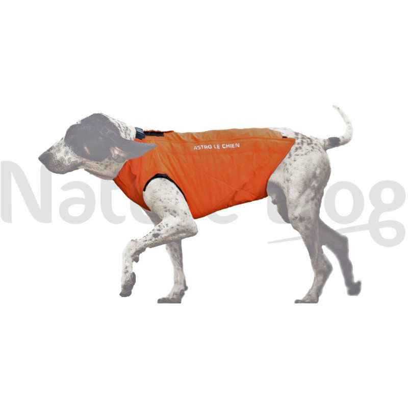 Gilet de protection Astro Le Chien