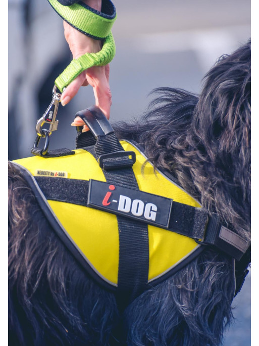Harnais Chien I-DOG NeoCITY Harnais Chien I-DOG NeoCITY