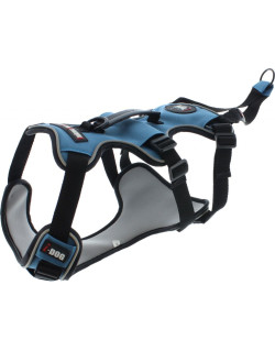 Harnais CaniCross I-DOG