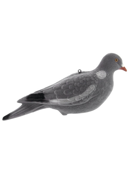 Appelant Pigeon