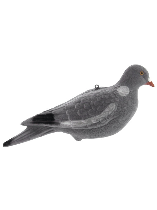 Appelant Pigeon