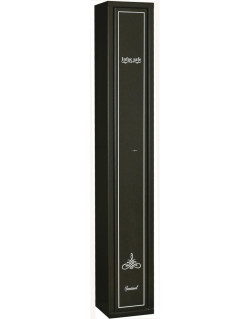 Armoire Forte Sentinel 3 armes