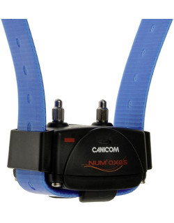 Collier dressage Canicom supplémentaire Num'axes
