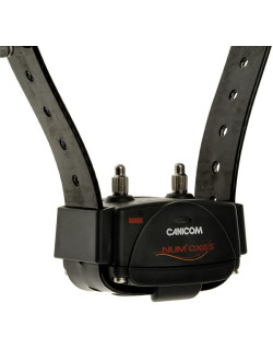 Collier dressage Canicom supplémentaire Num'axes