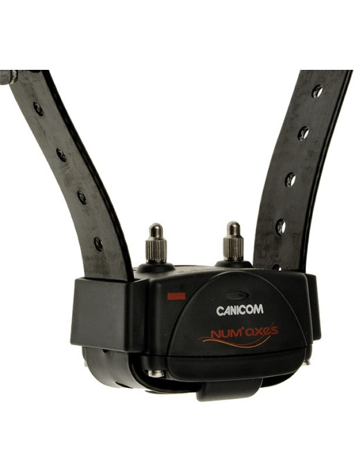 Collier dressage Canicom supplémentaire Num'axes Collier dressage Canicom supplémentaire Num'axes