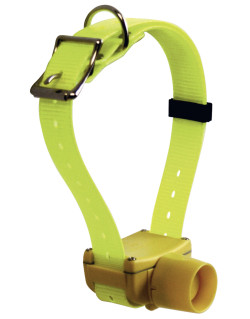 Collier de repérage numaxes Canibeep Pro