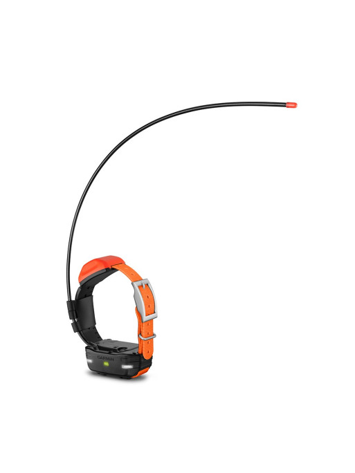 Collier GARMIN T5 Mini FR Occasion