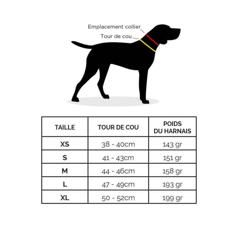 ONE - Harnais Canicross pour petit chien X-Back idog