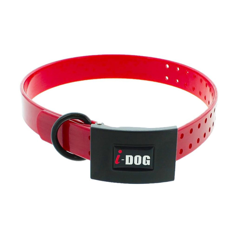 Collier Premium I-Dog 65cmx25mm